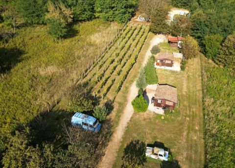 Eladó Ház 8782 Zalacsány 