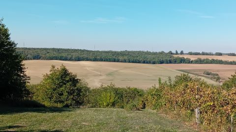 Eladó Mezőgazdasági 8669 Miklósi Újhegyen, a béke szigetén, idilli környezetben pince-présház