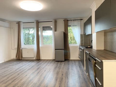 Eladó Lakás 1031 Budapest 3. kerület , Pók utcai lakótelepen , teljesen felújított 1+3 szobás lakás