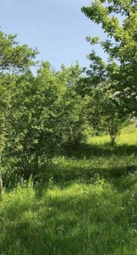 Eladó Telek 2600 Vác 