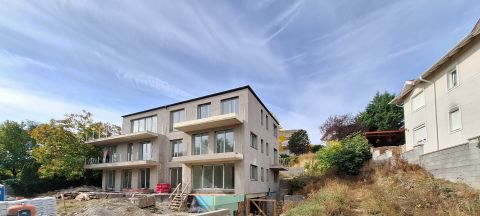 Eladó Lakás 1112 Budapest 11. kerület , Negyev 