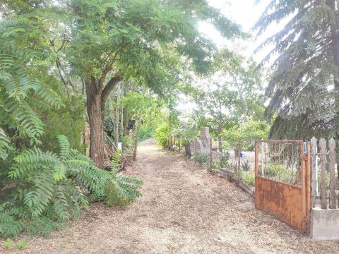 Eladó Telek 6762 Sándorfalva , 6762 Sándorfalva, Nádastó Szabadidőpark