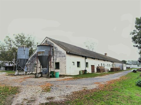 Eladó Mezőgazdasági 9169 Barbacs , Működő Gazdaság – Baromfi- és Fácán nevelő telep eladó!