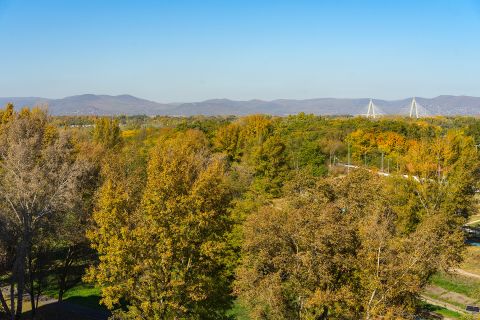 Eladó Lakás 1044 Budapest 4. kerület 