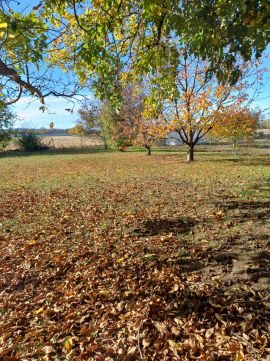 Eladó Telek 9099 Pér , Hársfa utca közelében