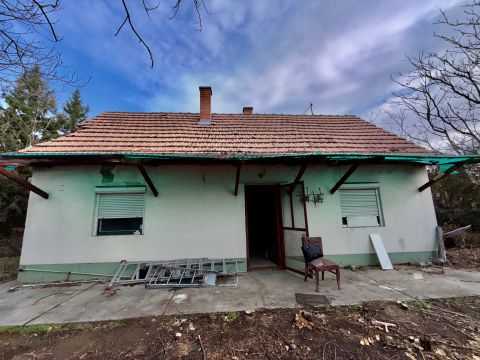 Eladó Ház 2713 Csemő 