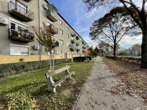 Eladó Lakás 2310 Szigetszentmiklós 