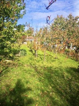 Eladó Telek 8900 Zalaegerszeg 