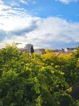 Eladó Lakás 1089 Budapest 8. kerület 