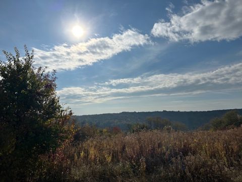 Eladó Telek 2060 Bicske 