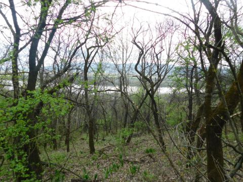 Eladó Telek 2621 Verőce 