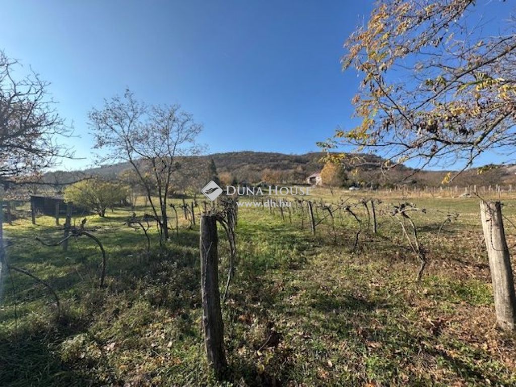8083 Csákvár , Csákvár nyugodt részén — 1/10