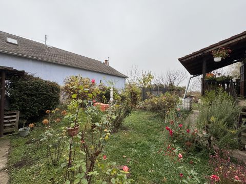 Eladó Ház 2142 Nagytarcsa Nagytarcsa 