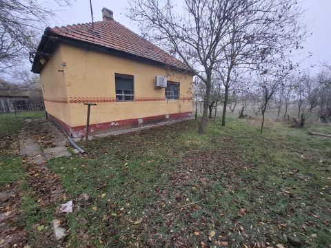 Eladó Ház 6100 Kiskunfélegyháza , Összkomfortos tanya 7 ezer m2 területtel