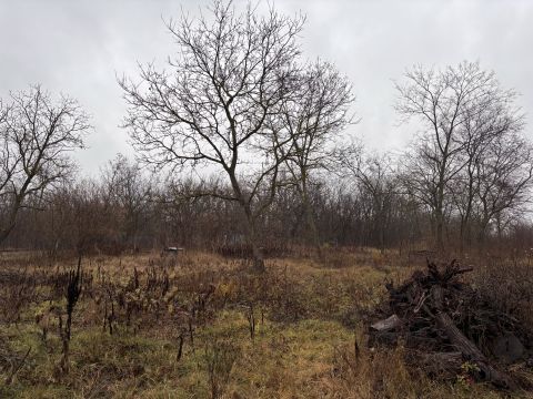 Eladó Telek 2162 Őrbottyán Csendes utcában építési telek eladó