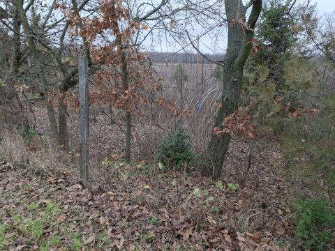 Eladó Telek 8087 Alcsútdoboz 