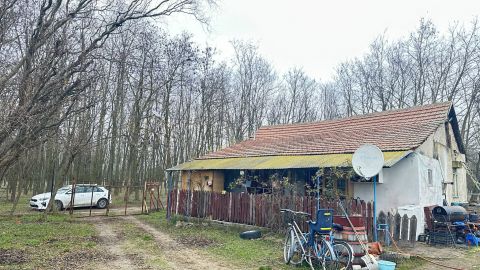 Eladó Ház 2750 Nagykőrös , Pöcök düllőben felújításra szoruló 2 szobás tanya
