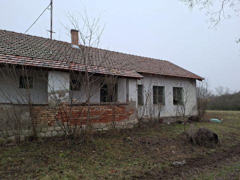 Eladó Mezőgazdasági 6635 Szegvár Szegvár központ