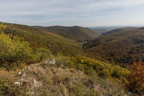 Eladó Telek 3324 Felsőtárkány , BEFEKTETÉSI LEHETŐSÉG 58,9 Hektár erdő