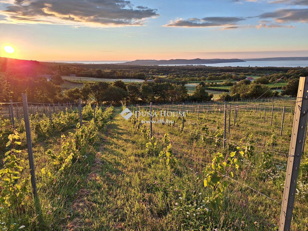 8244 Dörgicse , Jogerős építési engedéllyel panorámás szőlő eladó — 1/6