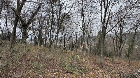 Eladó Telek 2045 Törökbálint 