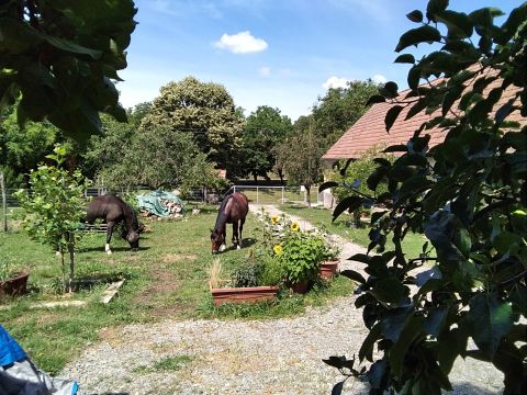 Eladó Ház 7925 Somogyhárságy 