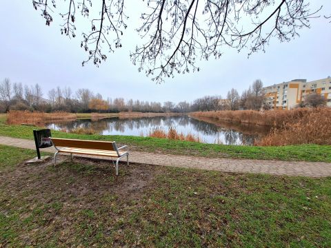 Eladó Lakás 9028 Győr TÓPARTI, 2 SZOBÁS, FÖLDSZINTI LAKÁS SZABADHEGYEN!