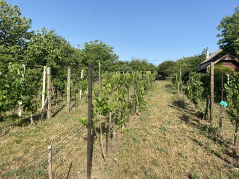 Eladó Telek 2461 Tárnok 