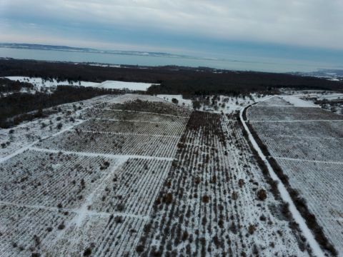 Eladó Telek 8244 Dörgicse 