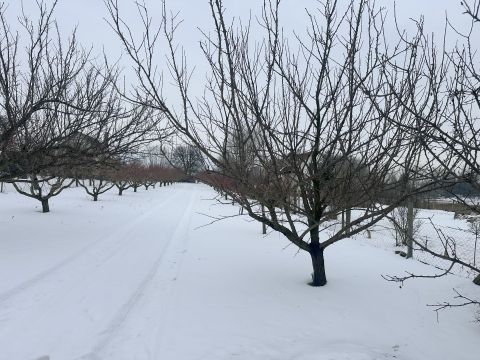 Eladó Telek 4481 Nyíregyháza 