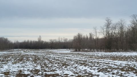 Eladó Mezőgazdasági 6131 Szank 