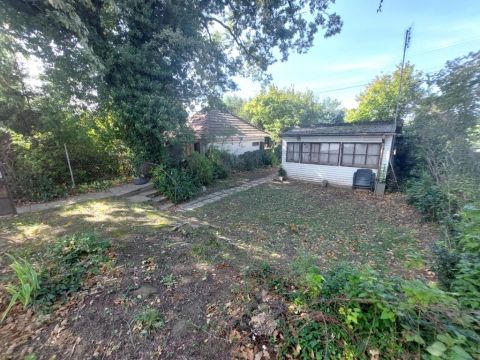 Eladó Ház 2300 Ráckeve , 2300 Ráckeve, Dunapart