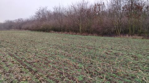 Eladó Telek 8600 Siófok , Mol kút környéke