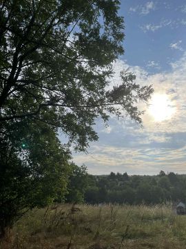 Eladó Telek 7275 Igal 