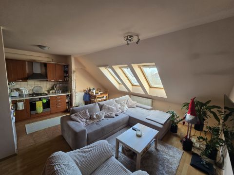 Eladó Lakás 6725 Szeged , Vadaspark lakópark