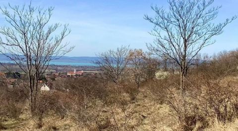 Eladó Telek 8617 Kőröshegy 8617 Kőröshegy, külterület