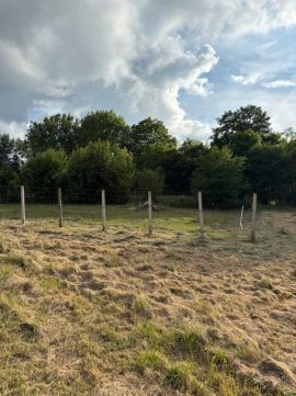 Eladó Telek 9134 Bodonhely , Hársfa utca közelében