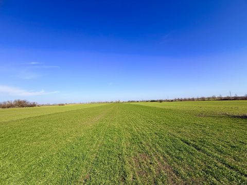 Eladó Telek 2335 Taksony , BEFEKTETŐK FIGYELEM! - Kiváló adottságú zártkert Taksonyban!