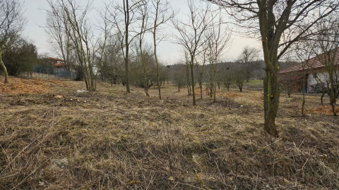 Eladó Telek 2086 Tinnye 