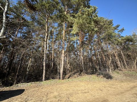 Eladó Telek 4002 Debrecen 