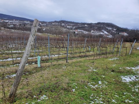 Eladó Telek 8245 Vászoly 