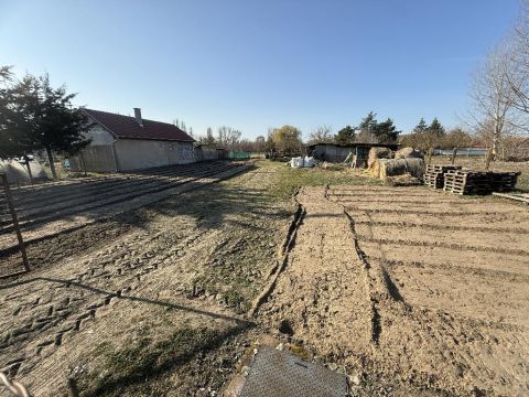 Eladó Telek 6060 Tiszakécske , 6060 Tiszakécske, Ókécske