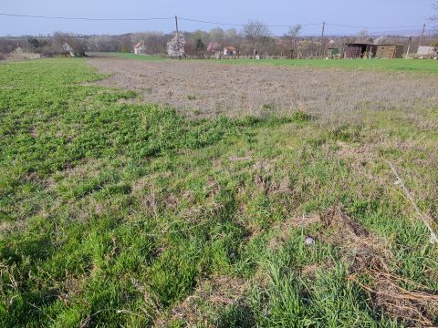 Eladó Telek 2483 Gárdony , a zártkerti övezetben