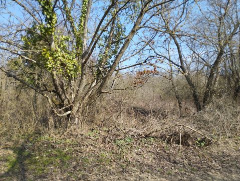 Eladó Telek 2162 Őrbottyán , Őrbottyánban remek helyen külterületi legelő
