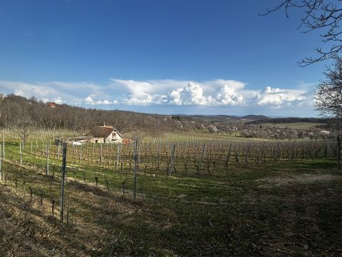 Eladó Telek 8245 Pécsely Szőlőbirtok