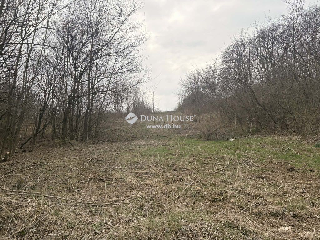 2800 Tatabánya , Zöld Dombi Utca — 1/3