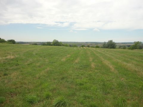 Eladó Telek 2060 Bicske , Máléhegy