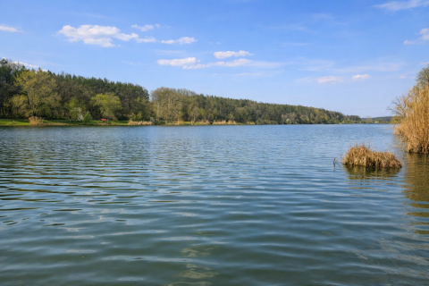 Eladó Ház 2217 Gomba 