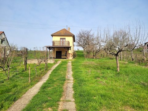 Eladó Ház 7700 Mohács 