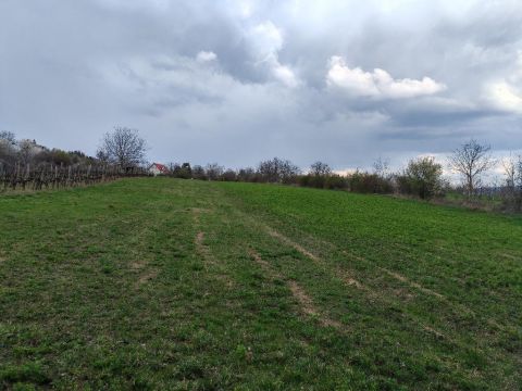 Eladó Telek 2073 Tök , 2073 Tök, Hegyoldal